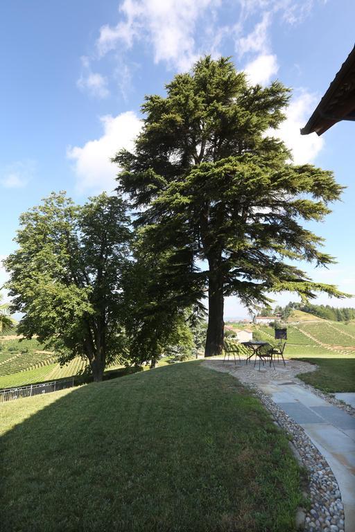 Villa Bricco Paglieri, Entire Villa Alba  Bagian luar foto